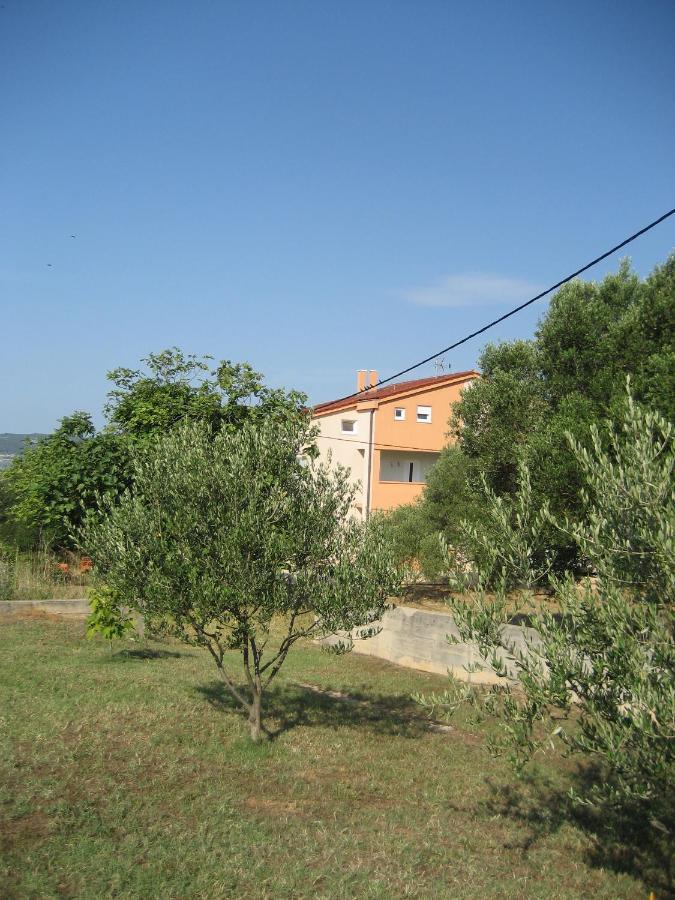 „drei Palmen“