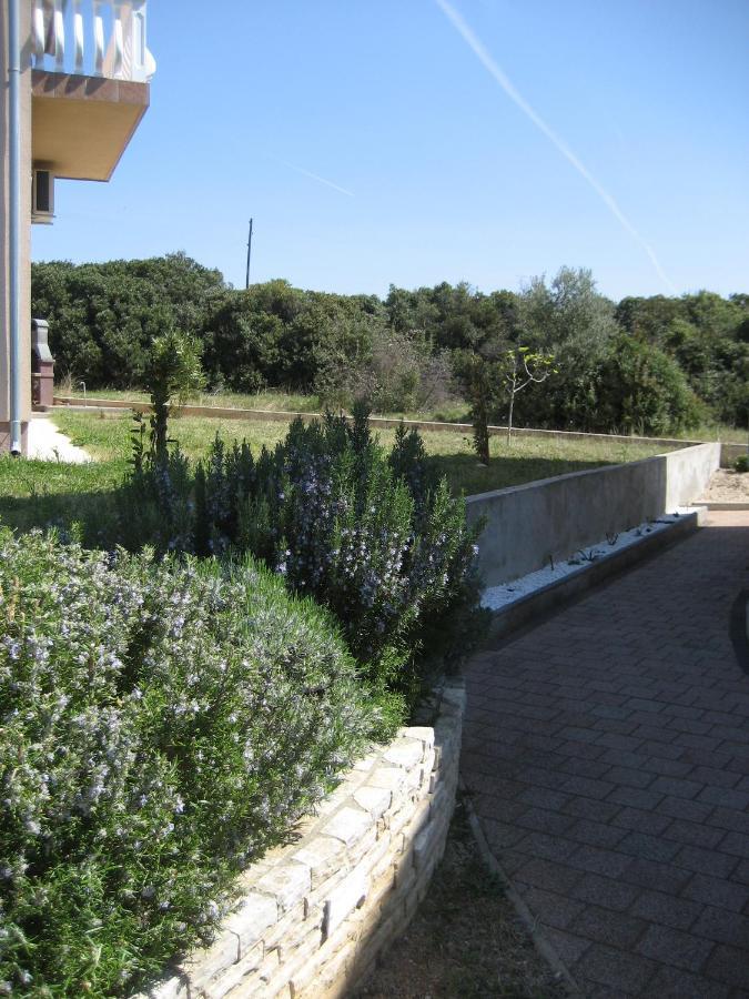 „drei Palmen“ Apartma *