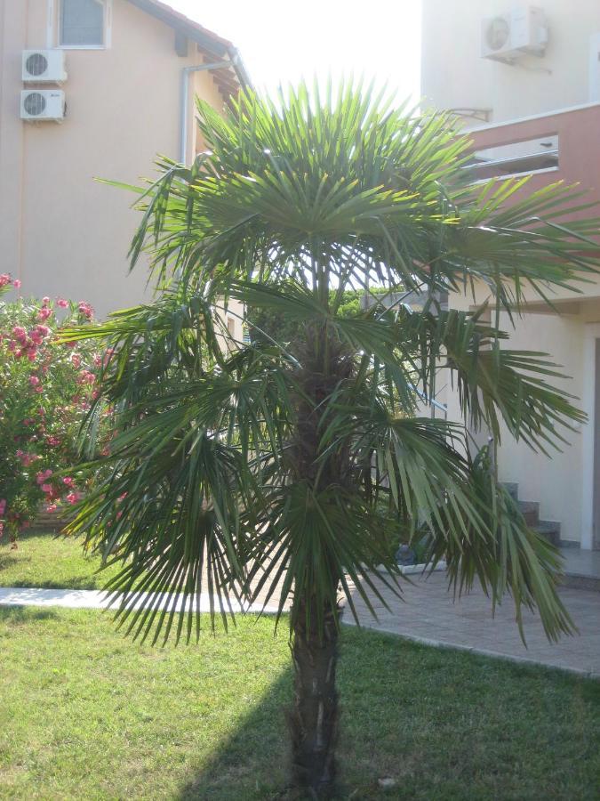 Apartma „drei Palmen“