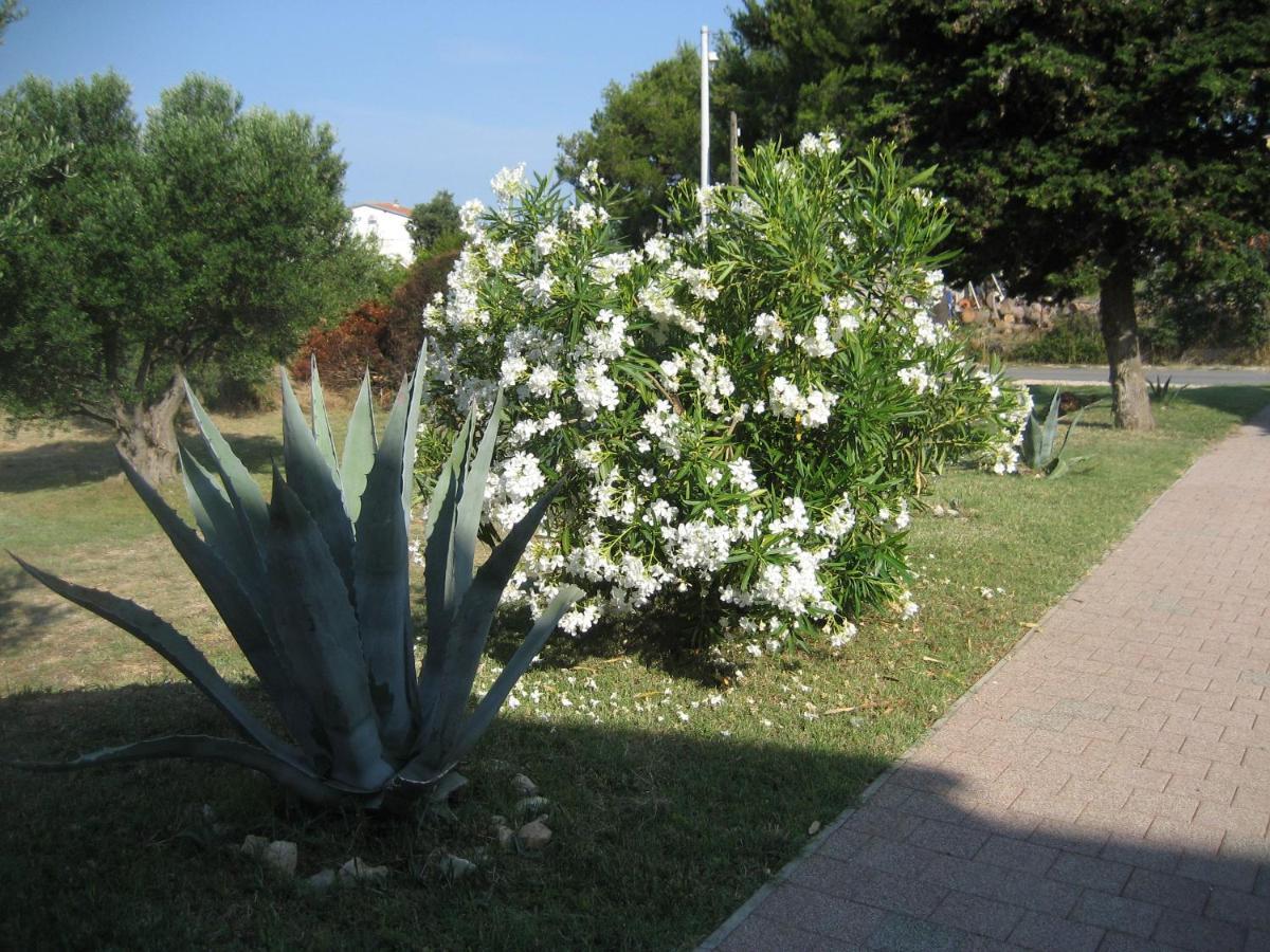 Apartma „drei Palmen“
