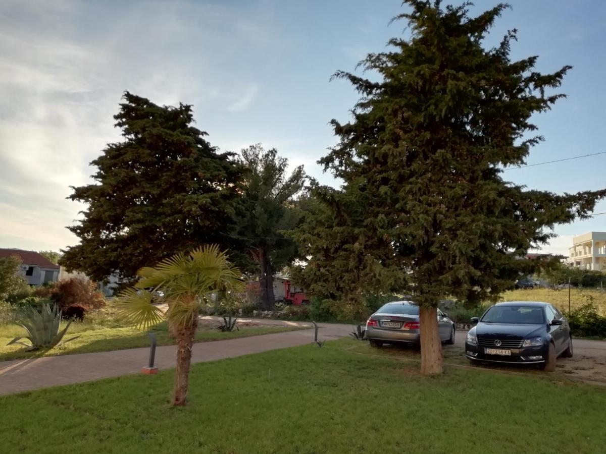 Apartment „drei Palmen“ Sveti Filip i Jakov